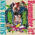 Mach Pelican - Double A Sided release - Summer Sun/ Remember it - Limited 7 " Black Vinyl - Rebel Rebel Records